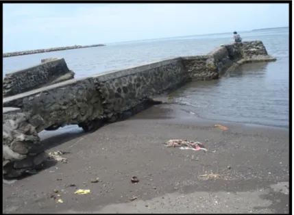 Foto 5.6 kerusakan pantai yang diakibatkan oleh proses  abrasi 