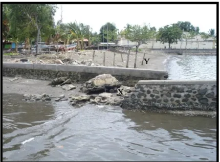 Foto 5.1 Kerusakan yang diakibatkan abrasi (X) dan  sedimentasi (Y) yang terjadi pada  bagian barat  Pantai Seruni 