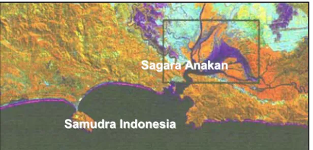 Gambar 1.  Kenampakan Laguna Sagara Anakan  dari Citra satelit (1992). 