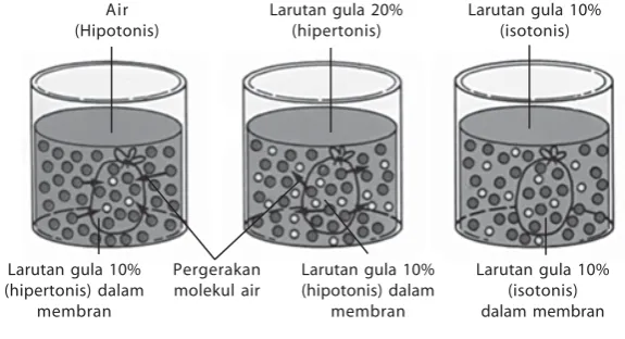 Gambar 1.14Mekanisme osmosis
