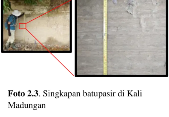 Foto 2.4. Singkapan batupasir selang-seling  batulempung di Kali Madungan 