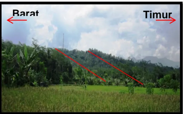 Foto  2.    Bentuk  morfologi  perbukitan  homoklin,  foto  diambil  di  daerah  Desa  Sumampir  ke arah utara daerah penelitian