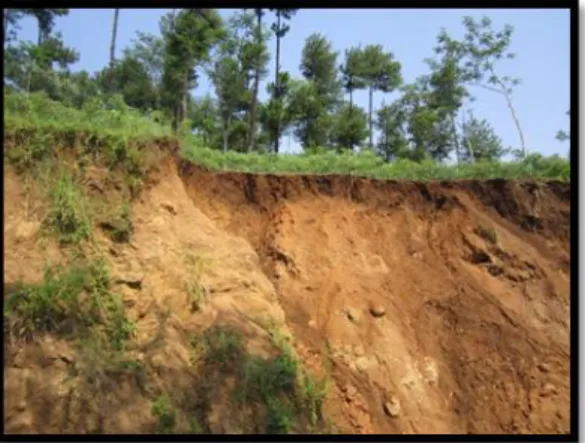 Foto 10.    Cermin sesar pada lava andesit, di  FZ-14 di daerah Kali Panyutan. 