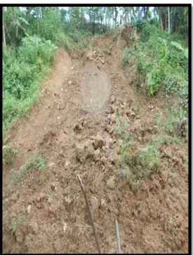 Foto  14.     Miringnya  tiang  listrik  dan  retakan  pada jalan diakibatkan oleh seretan  gerakan  tanah  tipe  soil  creep,  tersingkap di GT01, Desa Losari