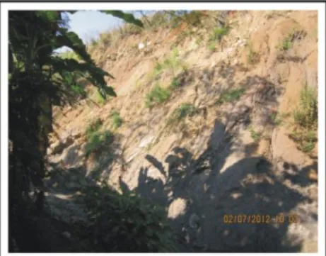 Foto  18.  Jatuhan  batuan  di  tepi  sungai,  di  lokasi GT-09, sungai Cipanengah Lio  