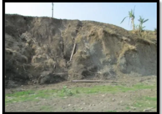 Foto  14.  Luncuran  berupa  material  rombakan    pada  tepi  sungai,  tersingkap  di  lokasi  DS5,  Sungai  Ciseureuh