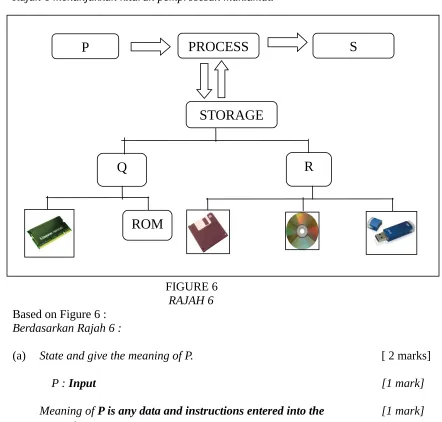 FIGURE 6RAJAH 6