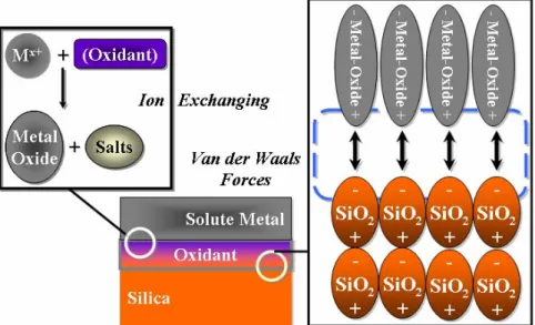 Gambar 2.4. Mekanisme pertukaran-ion dan proses adsorpsi pada filter silika 