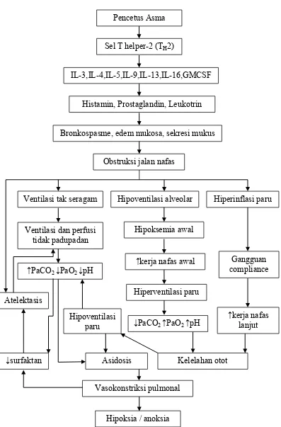 Gambar 1. Bagan Patogenesis dan Patofisiologi Asma19 