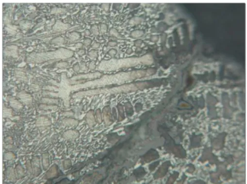 Gambar 7. Struktur Mikro Perbesaran dari Gambar 6 Berupa Dendrit-Austenit, pada  Retakan Terlihat adanya Produk Korosi dari Bahan Bakar sebagai Bentuk  Serangan 