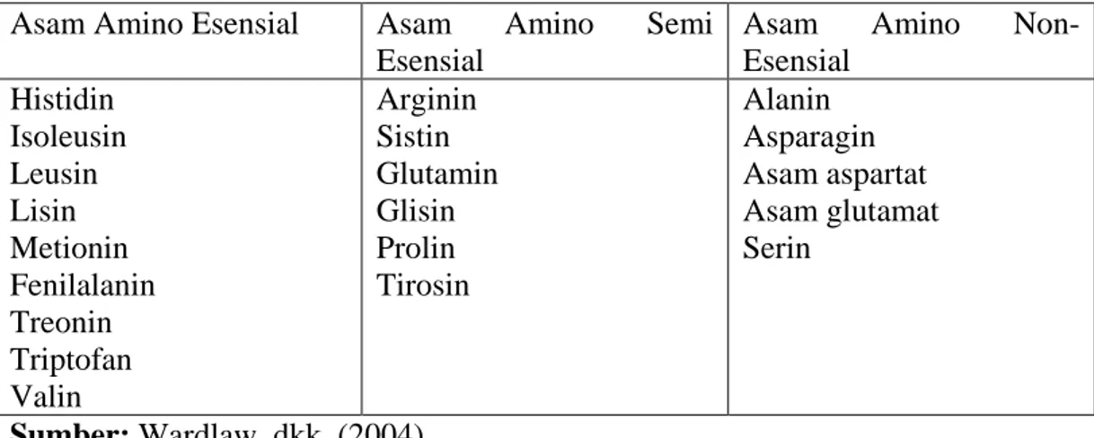 Tabel 2.1 Klasifikasi Asam Amino 