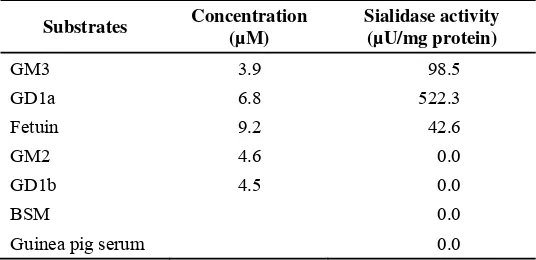 Figure 8. Dixon plot for the inhibition of sialidase activity by Neu2en5Ac. The sialidase activity was assayed in 60 mM acetate buffer pH 4.5 containing Neu5,2en between 0 and 70 µM for each MU-Neu5Ac concentration used at 46°C for 60 minutes