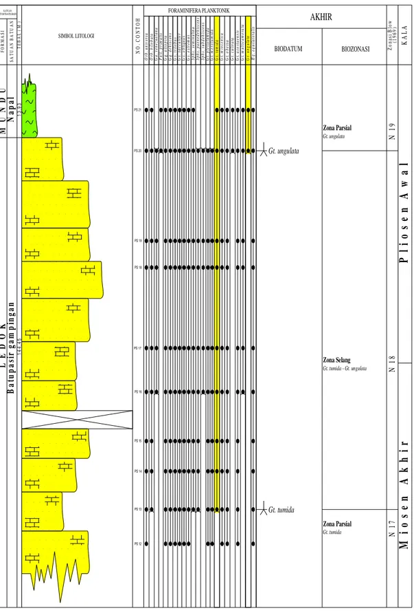 Tabel 2. Biodatum dan biozonasi Foraminifera planktonik Formasi Wonocolo   dan Formasi Ledok 