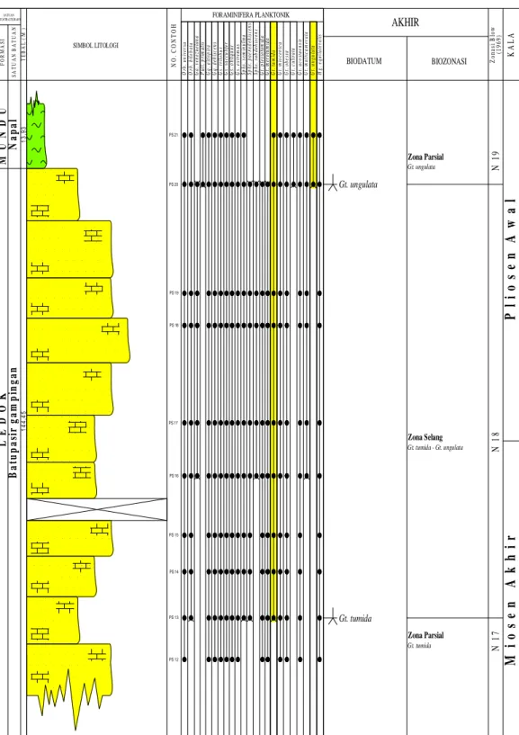 Tabel 3. Biodatum dan Biozonasi Foraminifera planktonik Formasi Ledok   dan Formasi Mundu 