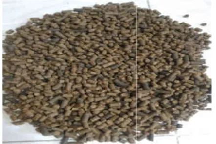 Gambar 4.2 Hasil dari proses pembuatan  pellet 