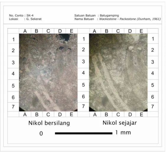 Gambar 24. Hasil proses mikritisasi dapat dilihat pada sayatan tipis, pada gambar di atas  penggantian matriks menjadi mikrit (A1-A2, B1-B2)