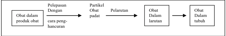 Gambar 2. Proses laju bioavailabilitas obat 