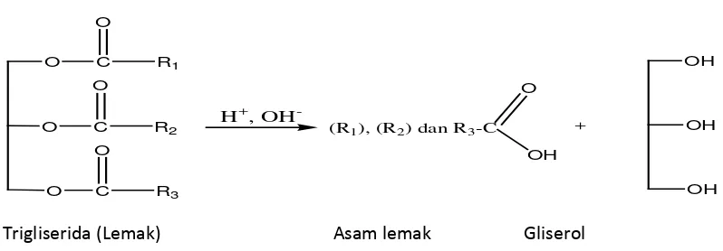 Gambar 2.1. Hasil Hidrolisis Trigliserida menjadi Asam Lemak dengan Gliserol (Bahl, 2004)