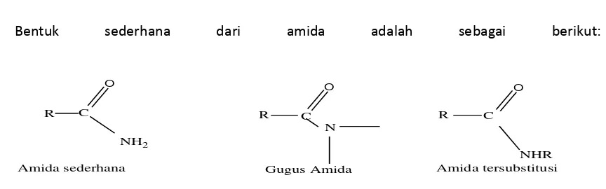 Gambar 2.5. Bentuk-Bentuk Amida 