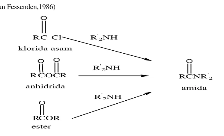 Gambar 2.6. Contoh Amida Siklik 