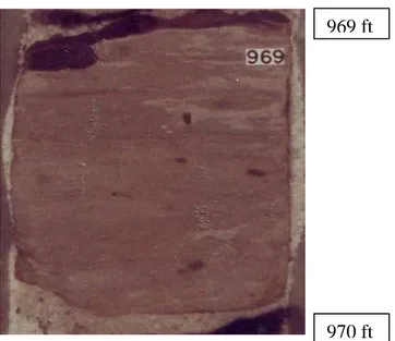 Gambar 3.3. Foto batuan inti sumur DHL-12 pada interval 967-973 ft 