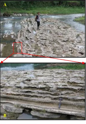 Foto  2.  9.  Singkapan  batupasir  gampingan  selang-seling  batulempung  di  Kali  Karanganyar  (LP-131),  kedudukan  N  80⁰  E  /  10⁰,  di  bagian  tengah  daerah penelitian