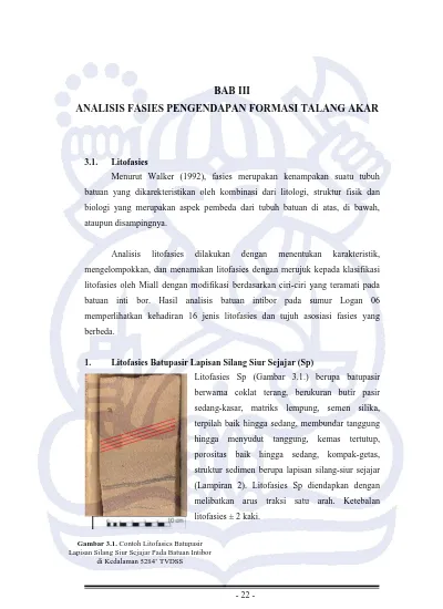 Bab Iii Analisis Fasies Pengendapan Formasi Talang Akar 4459