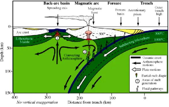 Gambar III-8 Mekanisme back-arc thrust pada zona difusi (dimodifikasi dari  www.wikipedia.org, 2007) 