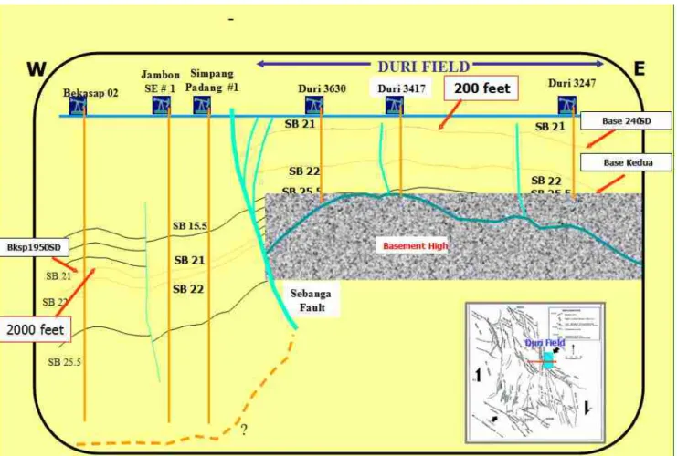 Gambar II.6. Penampang vertikal dari Lapangan Minyak Duri dan sekitarnya yang memperlihatkan sebaran stratigrafi   dan kerangka struktur patahan serta konfigurasi batuan dasar ( Yarmanto, Aulia, K., Mertani, B., Heidrick, T.L., 1996 ) 