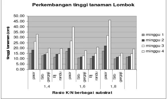 Gambar 1. Histogram Rerata Tinggi Tanaman Lombok Akibat PerlakuanMacamMedia Substrat dan Ratio K/N