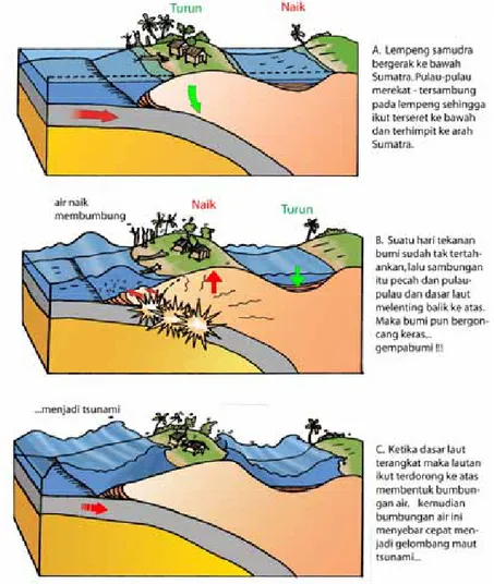 Gambar 2.4.  A-B-C. Proses siklus gempabumi pada zona subduksi/penunjaman lempeng di barat  Sumatra dan terjadinya tsunami karena dasar laut terangkat ketika terjadi gempa besar