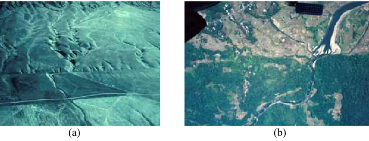 Gambar 3.2.  Contoh kenampakan jalur patahan geser aktif dari: (a) Patahan San-Andreas di  Carizo Plain, California, (b) Patahan Sumatra di daerah Lembah Sianok, Bukit Tinggi, Sumatra  Barat