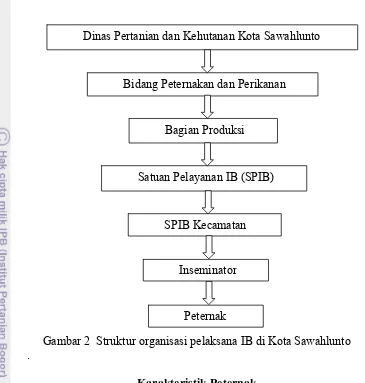 Gambar 2  Struktur organisasi pelaksana IB di Kota Sawahlunto 