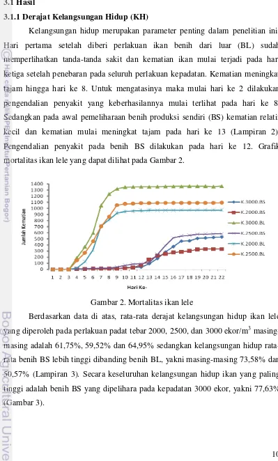 Gambar 2. Mortalitas ikan lele 