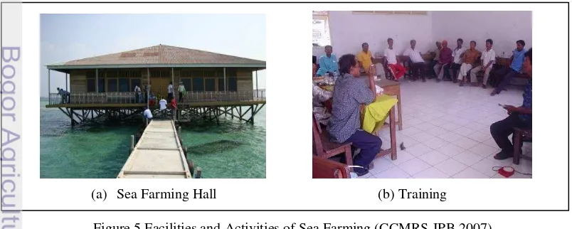 Figure 5 Facilities and Activities of Sea Farming (CCMRS-IPB 2007) 