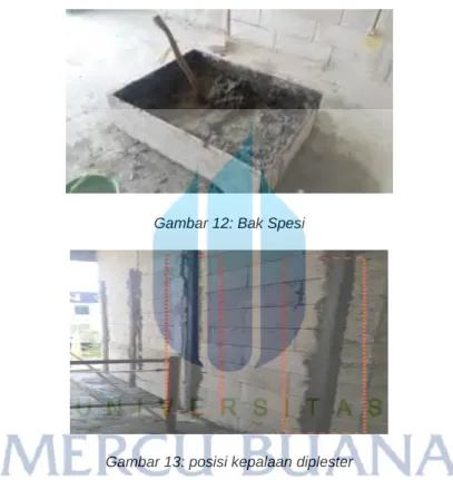 Gambar 12: Bak Spesi 