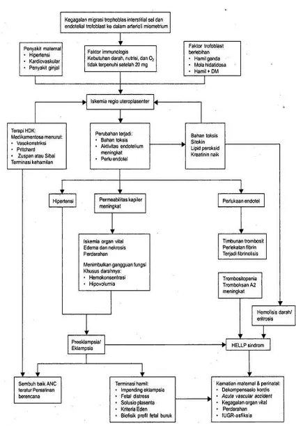 Gambar 1. Patofisiologi Hipertensi dalam Kehamilan 18 