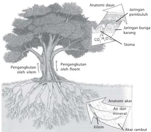 Gambar 2.8