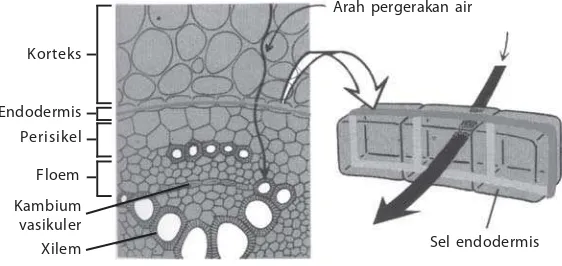 Gambar 2.13.