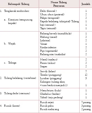 Tabel 3.1 Tulang-Tulang Penyusun Rangka Aksial