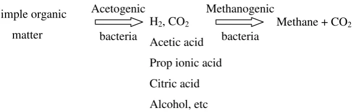 Fig. 3. Biogas fermentation process from complex organic matter 