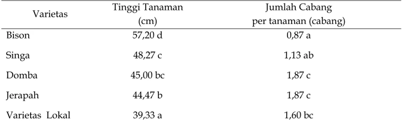Tabel 1. Rata-rata tinggi tanaman dan jumlah cabang yang diperoleh pada  beberapa varietas  unggul   kacang tanah di Kabupaten Pangkep MK1.2006 