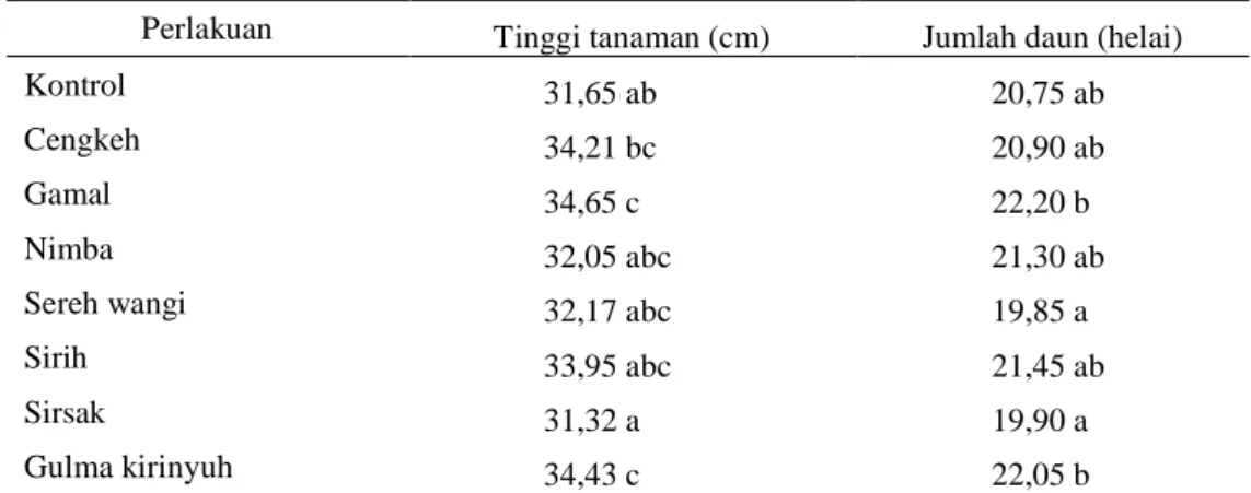 Gambar 1. Tanaman kubis pada perlakuan ekstrak gamal (A) dan kontrol (B) Berdasarkan  data  pertumbuhan,  tinggi tanaman dan jumlah daun, secara nyata tanaman dengan ekstrak gamal lebih tinggi dibandingkan kontrol (Tabel 3) dan perlakuan ekstrak lainnya.Ta