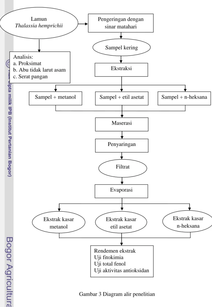 Gambar 3 Diagram alir penelitian Evaporasi 