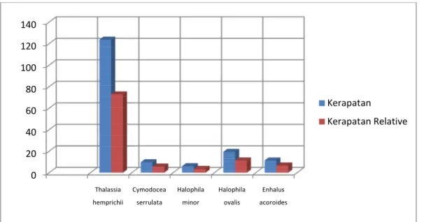 Gambar 1. Grafik Kerapatan lamun