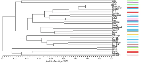 Gambar 1. Profil DNA dari 32 aksesi temulawak, hasil amplifikasi menggunakan pasangan primer  EAAC-MCTC, M=Ladder 1kb, A-AF= aksesi temulawak 
