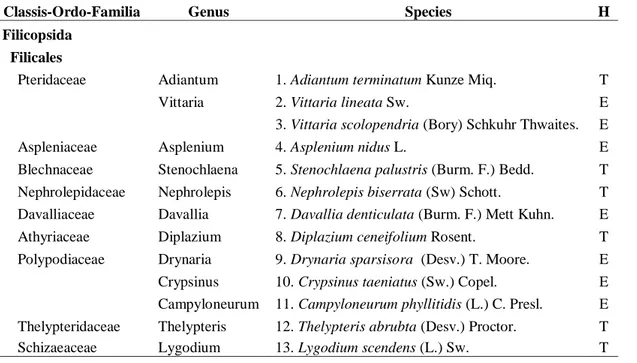 Tabel  1.      Species  tumbuhan  paku  teresterial  dan  epifit  yang  ditemukan  di  Kawasan   Penyangga  (Buffer  Zone)  di  Perkebunan  Sawit  PT