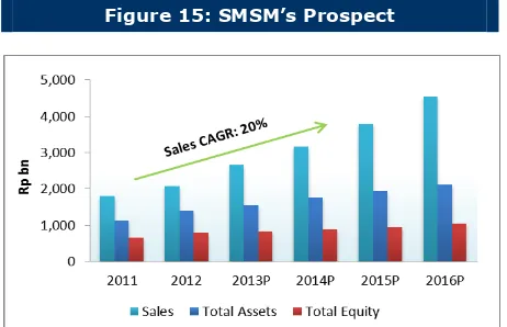 Figure 14: SMSM’s Dividend Payment and Debt Position 