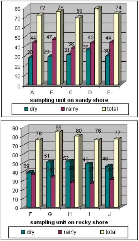 Figure 2. The number of seaweed colonies per sampling unit based on substrata and seasons