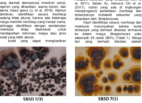 Gambar 1. Isolat SBSD 1 (3) dan Isolat SBSD 7 (1) yang menghasilkan pigmen ke dalam media